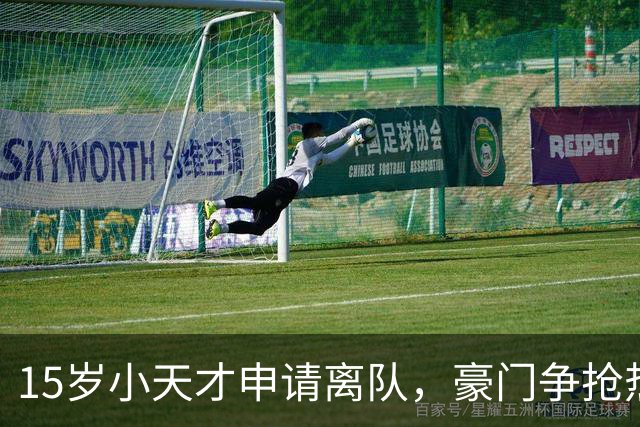 15岁小天才申请离队，豪门争抢热闹非凡！